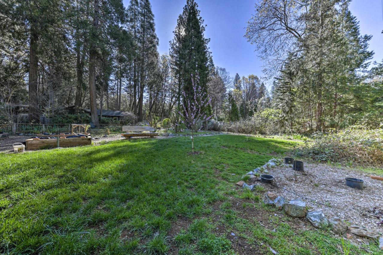 Peaceful Grass Valley Cottage With Bbq Grill And Yard! Kültér fotó