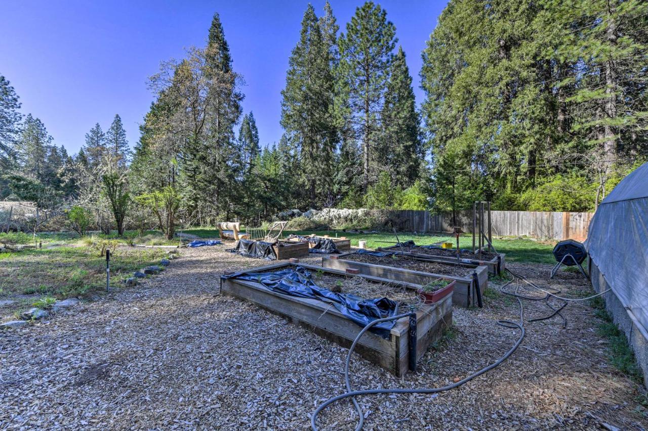 Peaceful Grass Valley Cottage With Bbq Grill And Yard! Kültér fotó